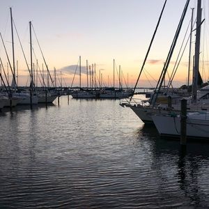 Meet your Posher, Lexi